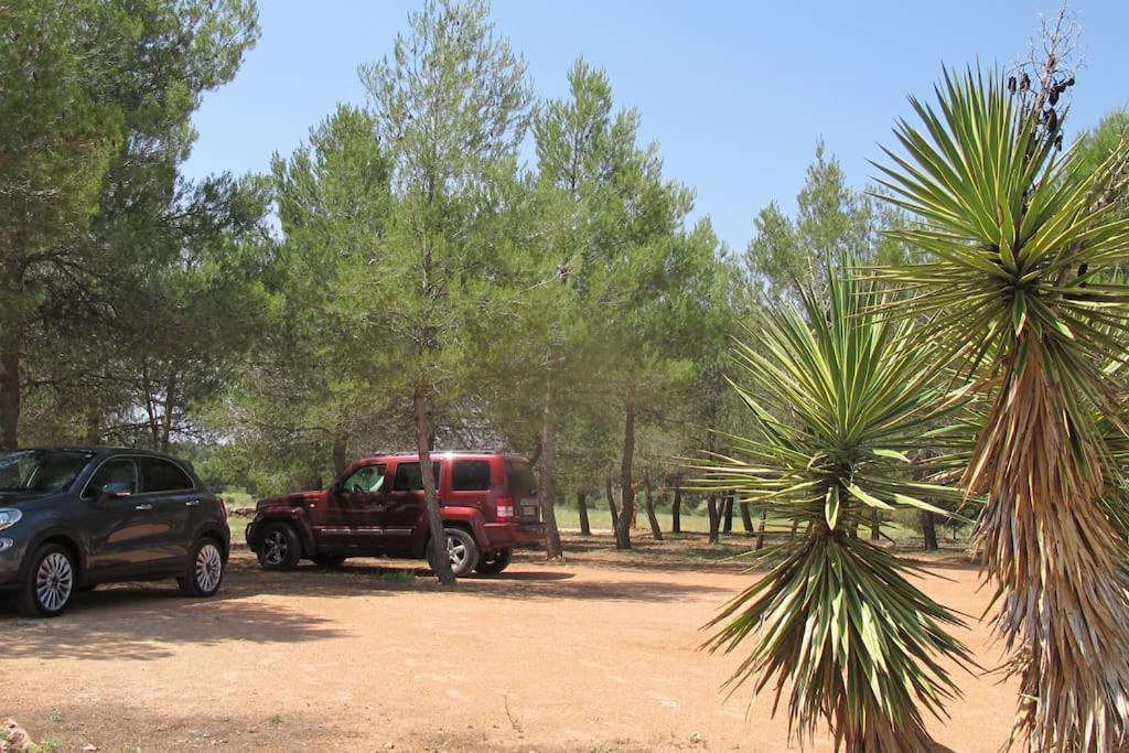 Gran Casa, Lagunas De Ruidera, Bbq, Porche, Chimenea Екстер'єр фото