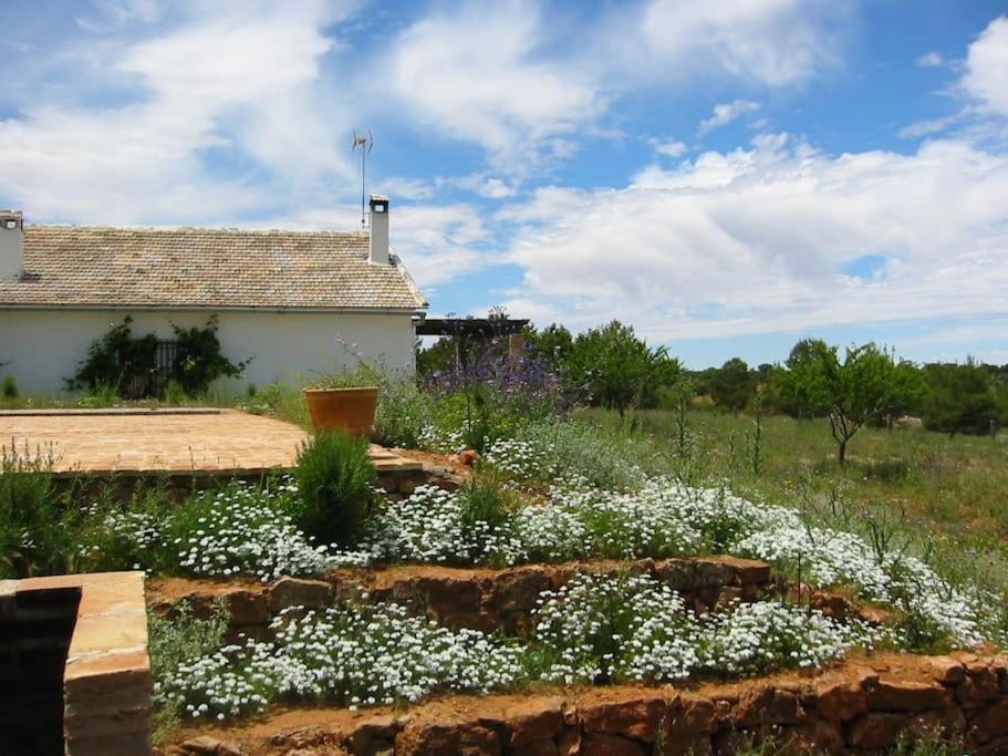 Gran Casa, Lagunas De Ruidera, Bbq, Porche, Chimenea Екстер'єр фото