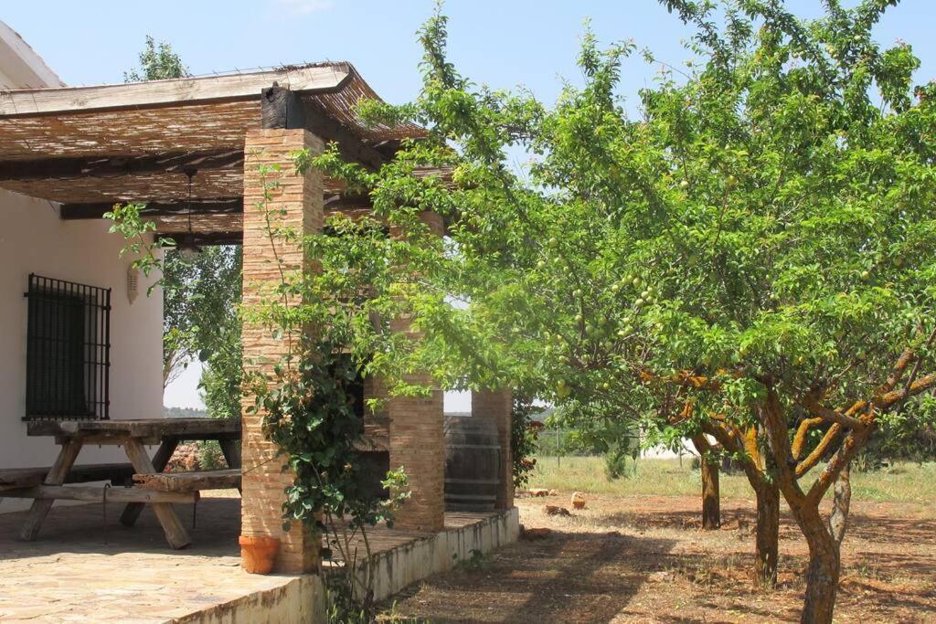 Gran Casa, Lagunas De Ruidera, Bbq, Porche, Chimenea Екстер'єр фото
